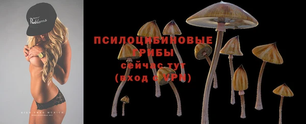 прущие крисы Абинск