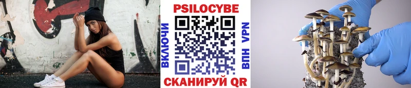 Псилоцибиновые грибы мухоморы  даркнет какой сайт  Никольское 